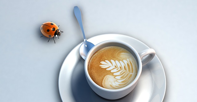 Free beetle coffee cup illustration