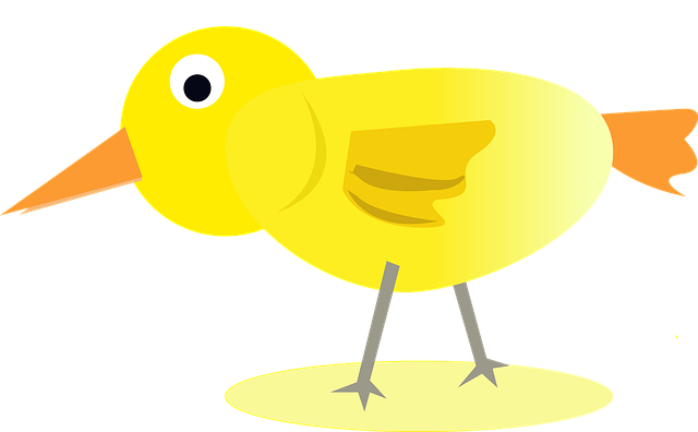Míč Gruzie, Kuře, Příroda, Zvíře