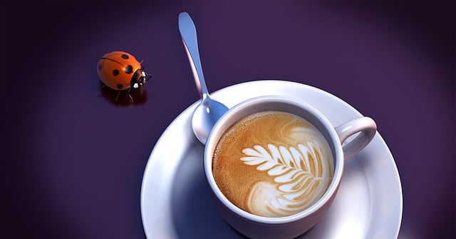 Free beetle coffee cup illustration