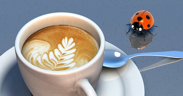 Free beetle coffee cup illustration