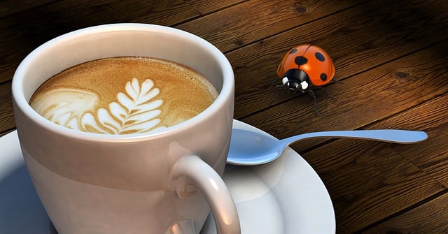 Free beetle coffee cup illustration