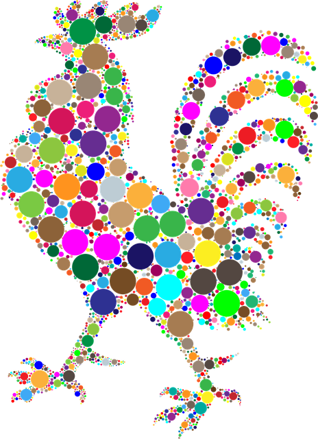 Free rooster chicken animal vector