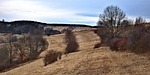 tree, landscape, nature