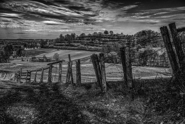 Free Fence Landscape photo and picture