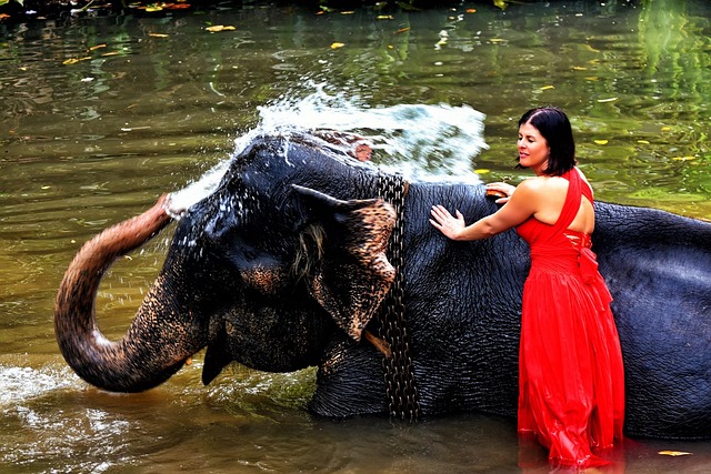 Free Elephant Woman photo and picture