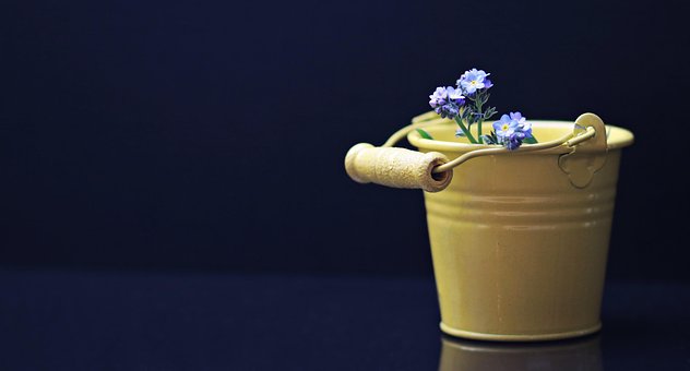 ãã±ã, ç§ãå¿ãã, è±, é»è², é»è²ããã±ã, ã°ãªã¼ãã£ã³ã° ã«ã¼ã