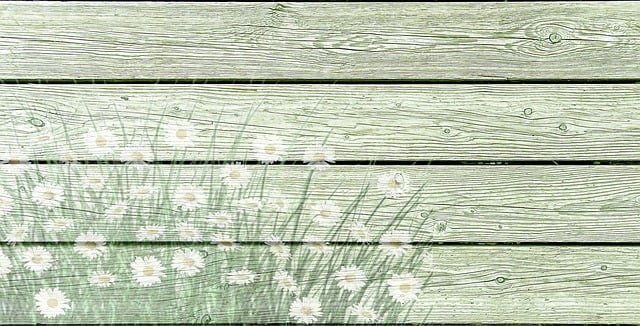 Free on wood daisies wooden wall illustration