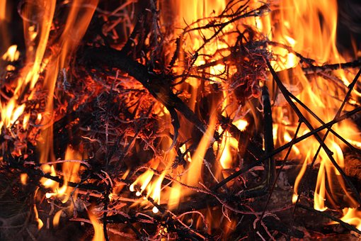 Flammer, Ild, Brændende, Træ, Ristning