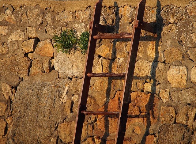 Free Shadow Desktop Backgrounds photo and picture
