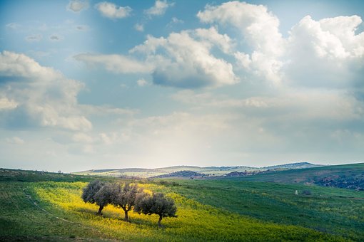 Natur, Grønn, Landskap, Himmel, Utendørs