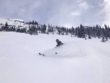 Free Ski Nature photo and picture