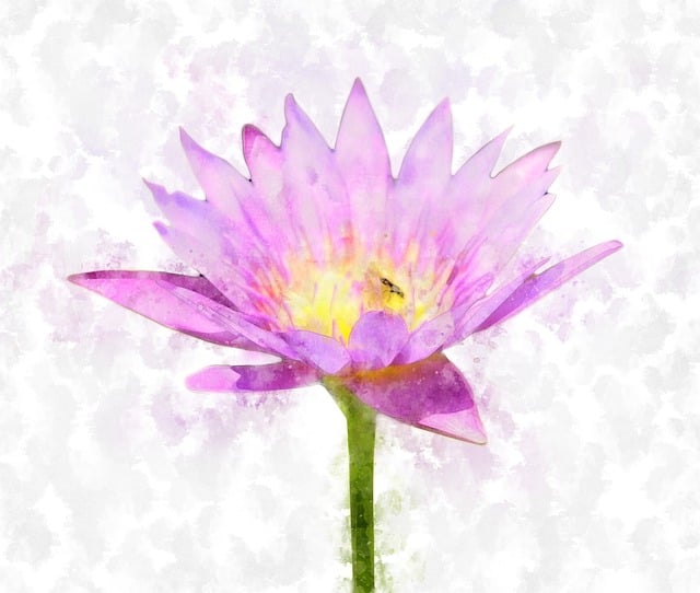 Free lotus flower pink illustration
