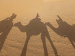 morocco, sahara, erg chebbi