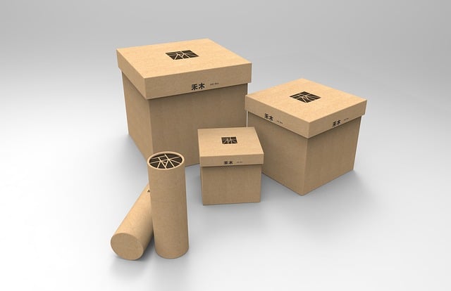 Free model box paper illustration