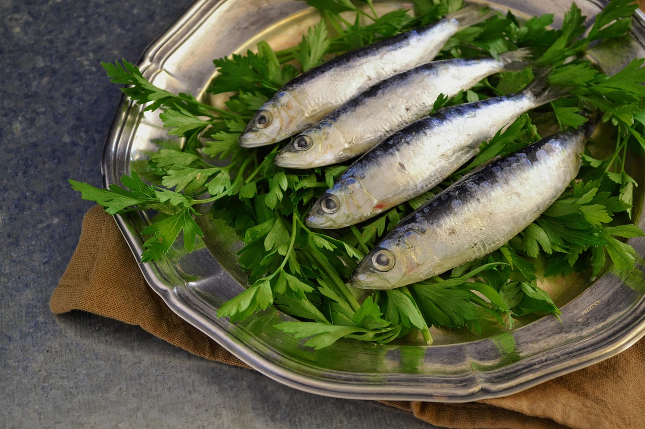 Sardines Fresh Fish Free photo on Pixabay Pixabay