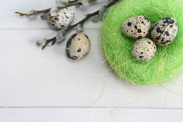 Free Easter Eggs photo and picture