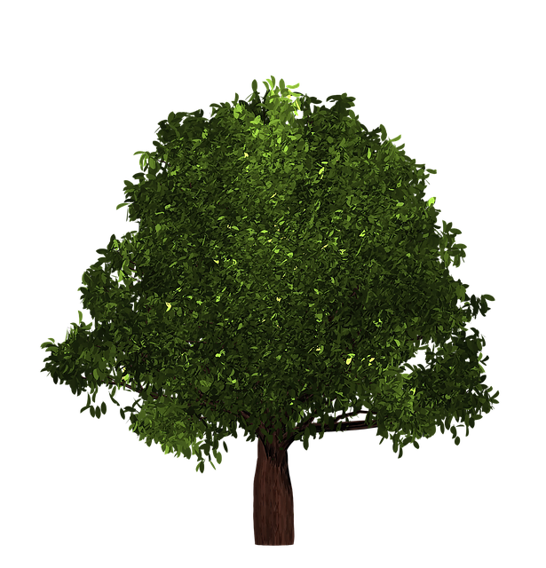 Free Tree Summer illustration and picture