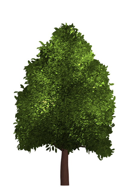 Free Tree Summer illustration and picture