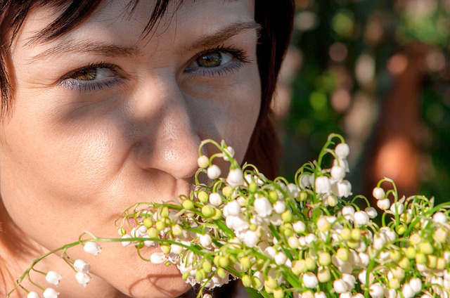 Free Spring Lilies Of The Valley photo and picture