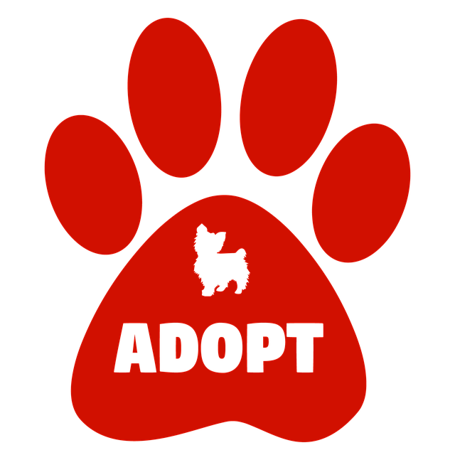 Free adopt dogs cats illustration