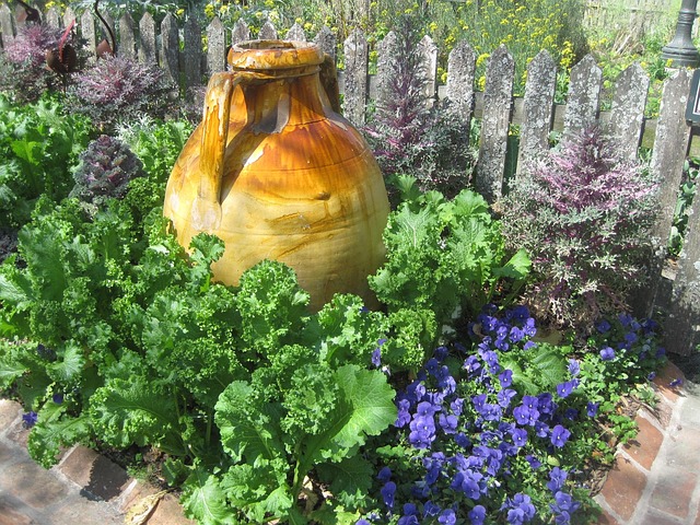 Vase, Garten, Grüner Salat, Blume
