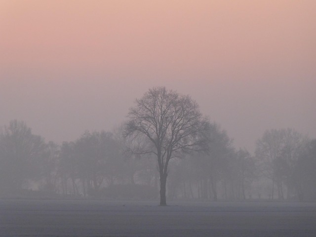 Free Sunrise Winter photo and picture