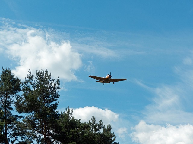 Free Z37 Trainer photo and picture