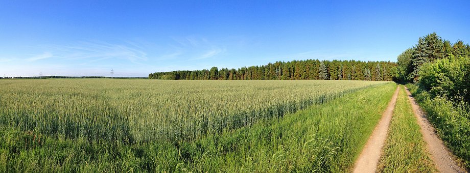 Free Dirt Road Field photo and picture
