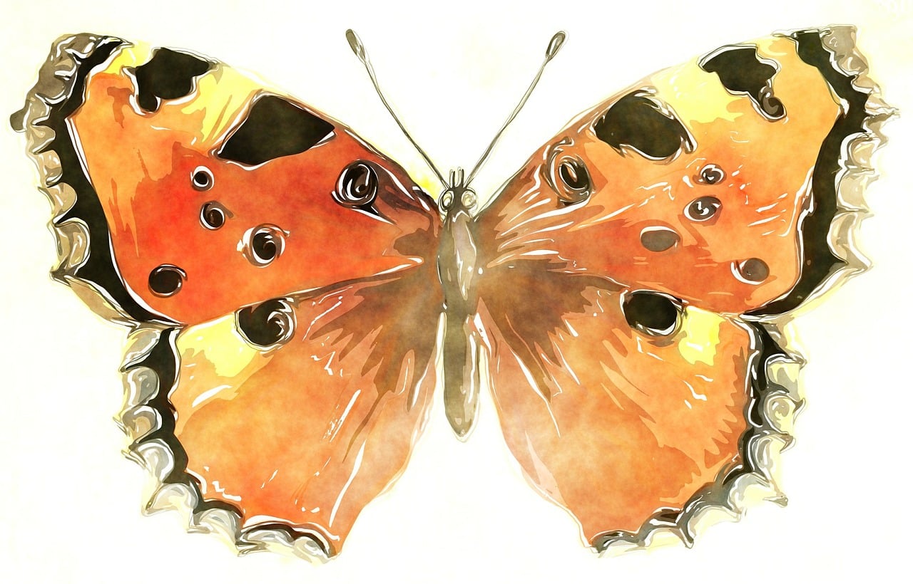 Download Watercolour, Watercolor, Painting. RoyaltyFree Stock