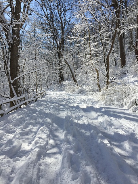 Inverno, Natureza, Frio, Branco
