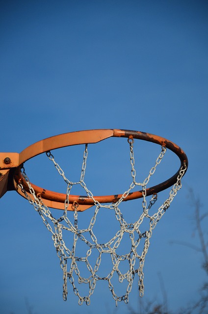 Free Basketball Ball photo and picture