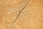 wood, cracks, structure
