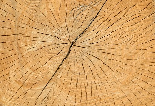 Free Wood Cracks photo and picture