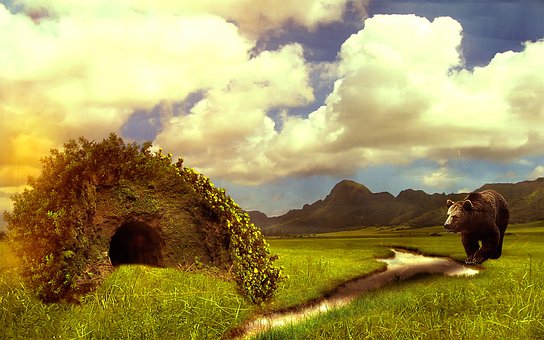 Free Bear Cave photo and picture