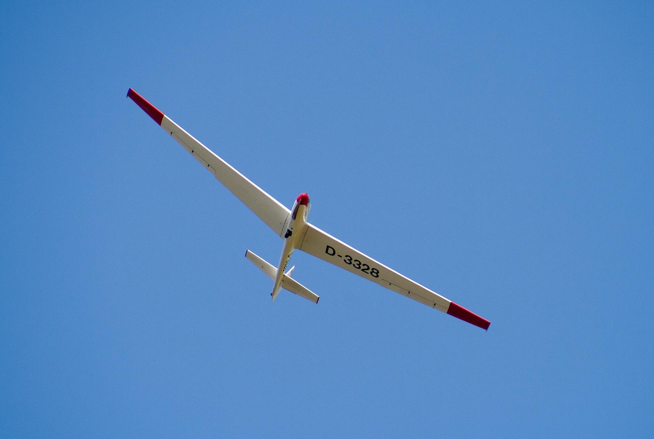 Glider Pilot - free online jigsaw puzzle photo