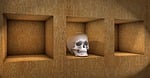 skull, shelf, wood