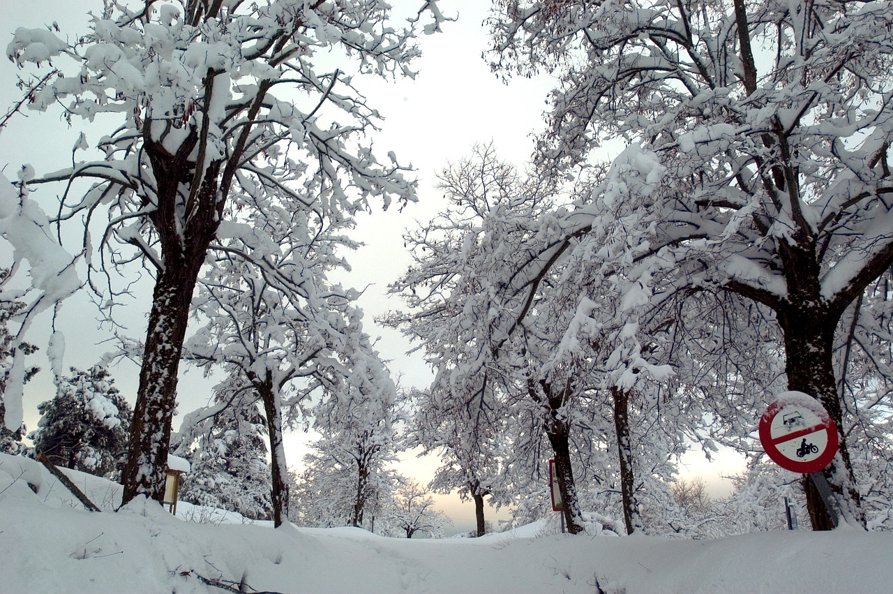 信号 雪 冰 - Pixabay上的免费照片 - Pixabay