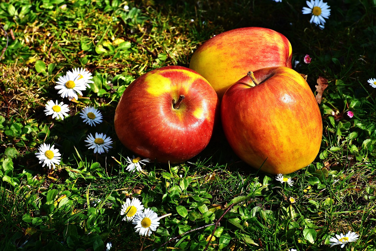Apples - free online jigsaw puzzle photo