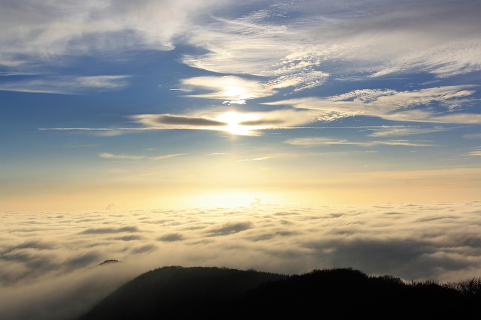 Ground Fog Backlighting Nature - Free photo on Pixabay