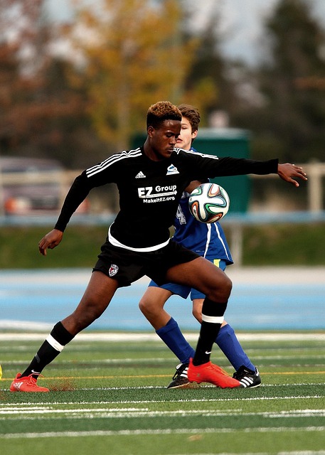 Free Sport Soccer photo and picture