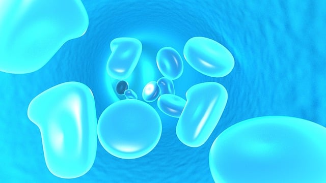 Free Blood Cells Cells illustration and picture