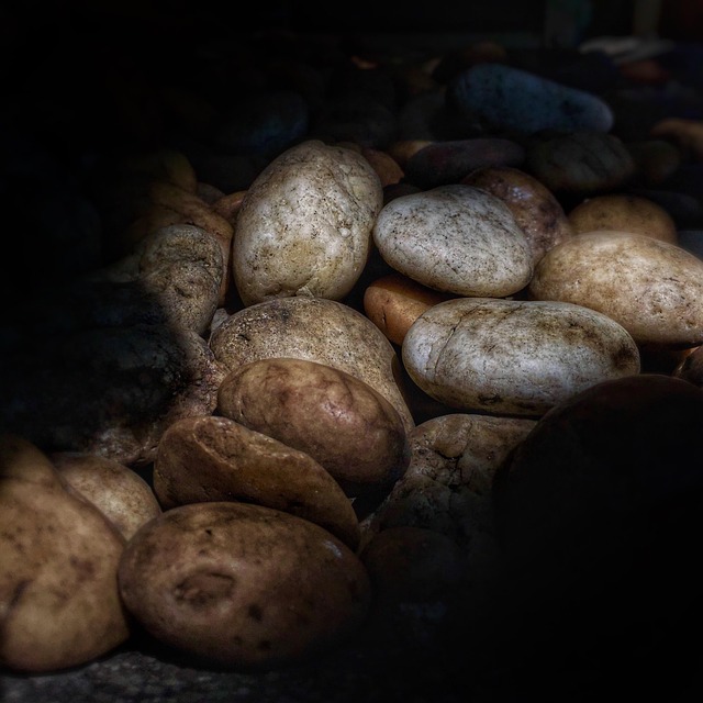 Free Rock Pebbles photo and picture
