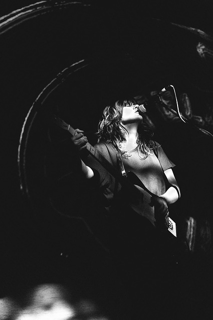 Free Barnett Concert photo and picture