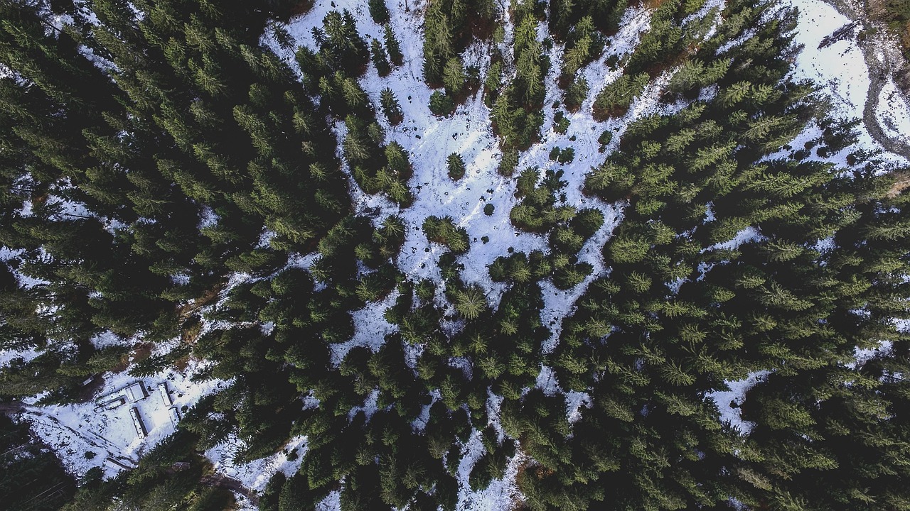 Abstract - free online jigsaw puzzle photo