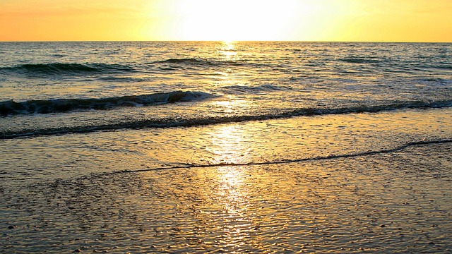Free Background Beach photo and picture