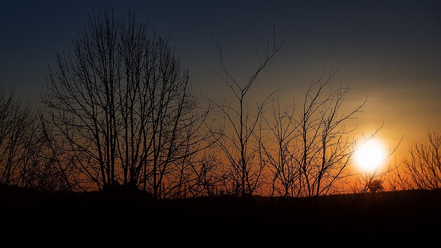 Free Sunset Silhouette photo and picture