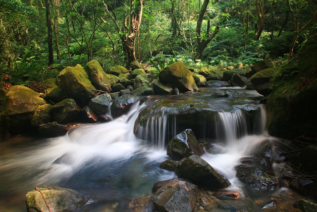 Free Landscape Fall photo and picture