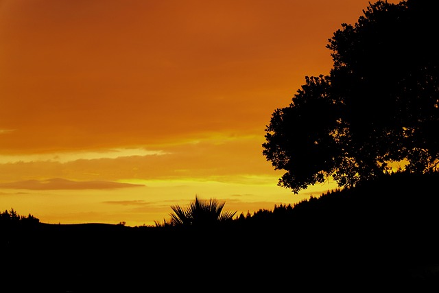 Free Sunset Night photo and picture