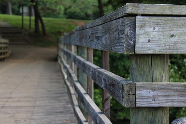 Weg, Brücke, Allein, Hölzern, Gehen