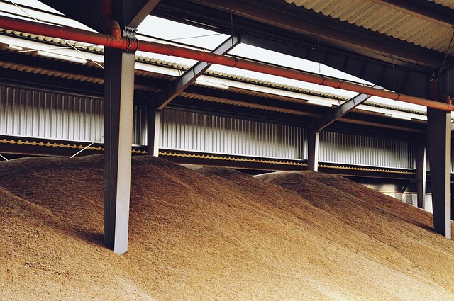 Free Cereal Magazine photo and picture